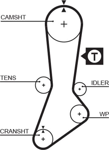 GATES-AU T264 - Zobsiksna ps1.lv