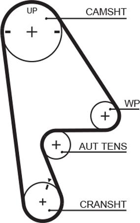 GATES-AU T224 - Zobsiksna ps1.lv