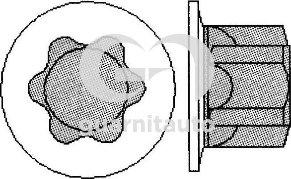 Guarnitauto 703005-1010 - Cilindru galvas skrūvju komplekts ps1.lv