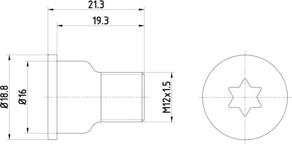 HELLA PAGID 8DZ 355 209-051 - Skrūve, Bremžu disks ps1.lv