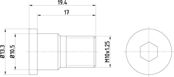 HELLA PAGID 8DZ 355 209-071 - Skrūve, Bremžu disks ps1.lv