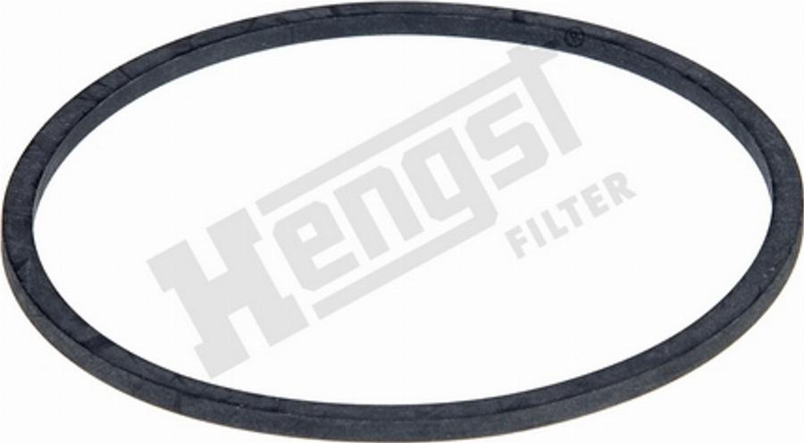 Hengst Filter H10KDIN-11 - Blīve, Eļļas filtrs ps1.lv