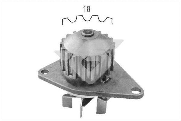 Hutchinson WP0048V - Ūdenssūknis ps1.lv