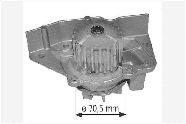 Hutchinson WP0030V - Ūdenssūknis ps1.lv