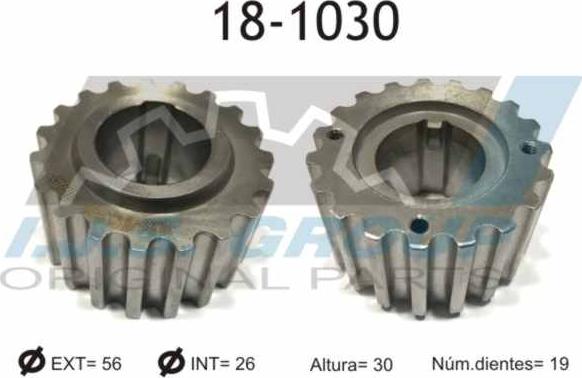 IJS GROUP 18-1030 - Zobrats, Kloķvārpsta ps1.lv