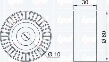 IPD 15-0970 - Parazīt / Vadrullītis, Ķīļrievu siksna ps1.lv