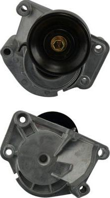 Kavo Parts DTP-9009 - Parazīt / Vadrullītis, Ķīļrievu siksna ps1.lv