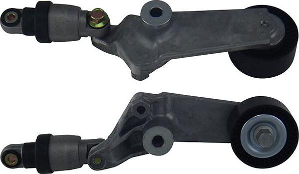 Kavo Parts DTP-9003 - Parazīt / Vadrullītis, Ķīļrievu siksna ps1.lv