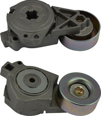 Kavo Parts DTP-5504 - Parazīt / Vadrullītis, Ķīļrievu siksna ps1.lv