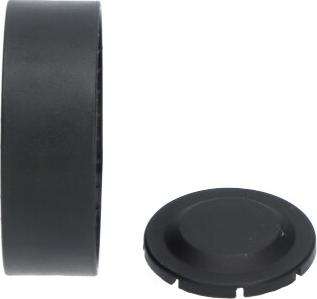 Kavo Parts DTP-5512 - Parazīt / Vadrullītis, Ķīļrievu siksna ps1.lv