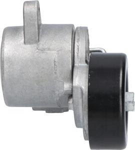 Kavo Parts DTP-1001 - Parazīt / Vadrullītis, Ķīļrievu siksna ps1.lv