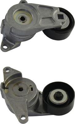 Kavo Parts DTP-1010 - Parazīt / Vadrullītis, Ķīļrievu siksna ps1.lv