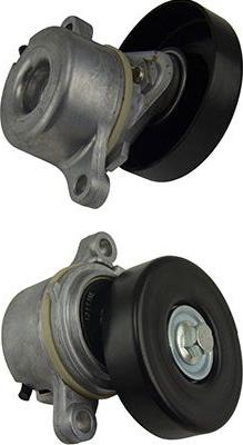 Kavo Parts DTP-8501 - Parazīt / Vadrullītis, Ķīļrievu siksna ps1.lv