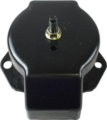 Kavo Parts EEM-5536 - Piekare, Dzinējs ps1.lv