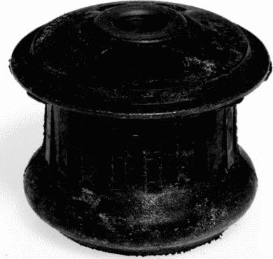 Lemförder 10091 01 - Piekare, Automātiskās pārnesumkārbas turētājs ps1.lv