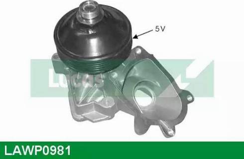 Lucas Engine Drive LAWP0981 - Ūdenssūknis ps1.lv