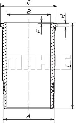 MAHLE 061 WN 10 00 - Cilindra čaula ps1.lv