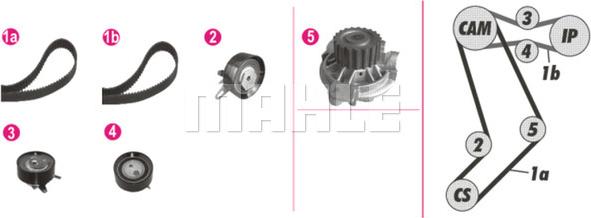 MAHLE CPK 43 000P - Ūdenssūknis + Zobsiksnas komplekts ps1.lv