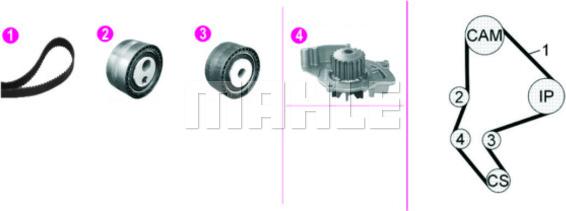 MAHLE CPK 135 000P - Ūdenssūknis + Zobsiksnas komplekts ps1.lv