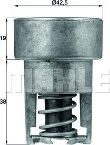 MAHLE TX 98 82 - Termostats, Dzesēšanas šķidrums ps1.lv