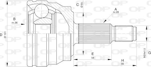 Open Parts CVJ5580.10 - Šarnīru komplekts, Piedziņas vārpsta ps1.lv
