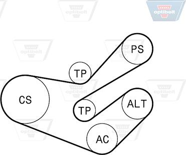 Optibelt 6 PK 1750KT2 - Ķīļrievu siksnu komplekts ps1.lv