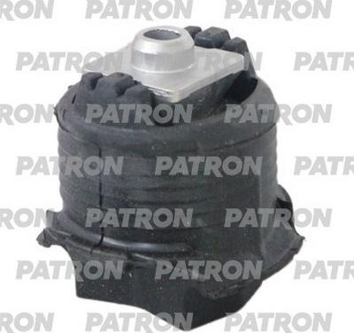 Patron PSE13574 - Piekare, Tilta sija ps1.lv