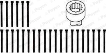 Payen HBS063 - Cilindru galvas skrūvju komplekts ps1.lv