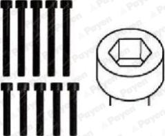 Payen HBS161 - Cilindru galvas skrūvju komplekts ps1.lv