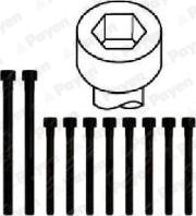 Payen HBS308 - Cilindru galvas skrūvju komplekts ps1.lv