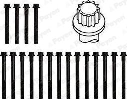 Payen HBS315 - Cilindru galvas skrūvju komplekts ps1.lv