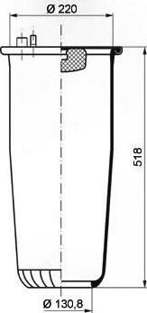 PE Automotive 084.250-70A - Pneimoatsperes spilvens, Pneimopiekare ps1.lv