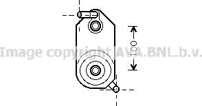 Prasco VN3110 - Eļļas radiators, Automātiskā pārnesumkārba ps1.lv