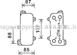 Prasco VN3392 - Eļļas radiators, Motoreļļa ps1.lv