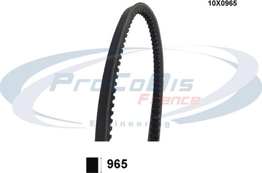 Procodis France 10X0965 - Ķīļsiksna ps1.lv