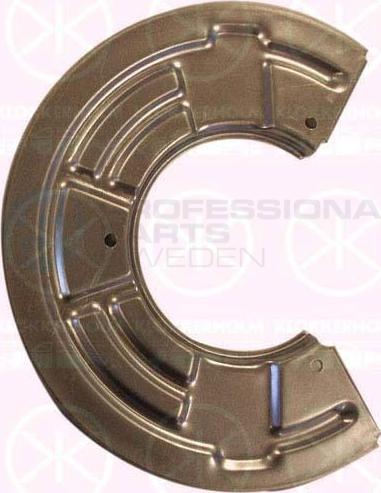 Professional Parts 51327379 - Dubļu sargs, Bremžu disks ps1.lv