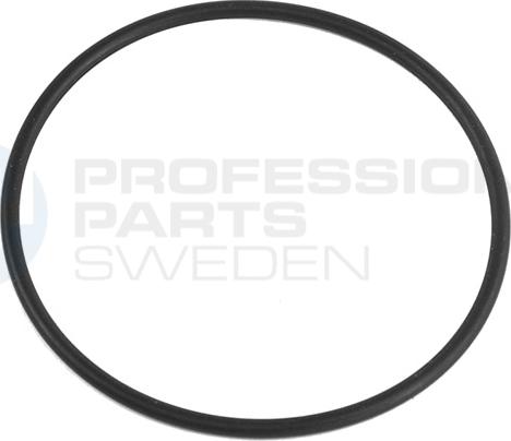 Professional Parts 21437525 - Blīvgredzens, Sveces kanāls ps1.lv