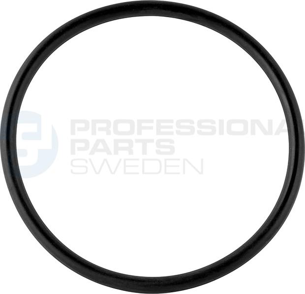 Professional Parts 21437183 - Blīve, Termostats ps1.lv