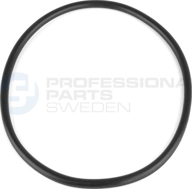 Professional Parts 23434149 - Blīve, Degvielas sūknis ps1.lv