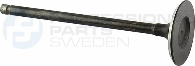 Professional Parts 23434781 - Ieplūdes vārsts ps1.lv