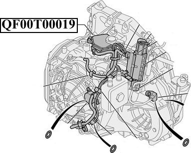 Quattro Freni QF21B00003 - Rotācijas frekvences devējs, Automātiskā pārnesumkārba ps1.lv