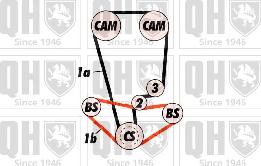 Quinton Hazell QBK396 - Zobsiksnas komplekts ps1.lv