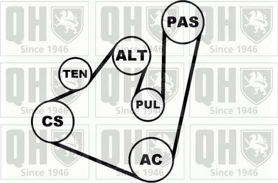 Quinton Hazell QDK42 - Ķīļrievu siksnu komplekts ps1.lv