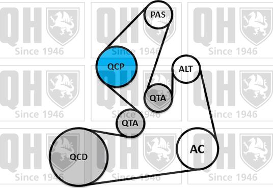 Quinton Hazell QDK165 - Ķīļrievu siksnu komplekts ps1.lv