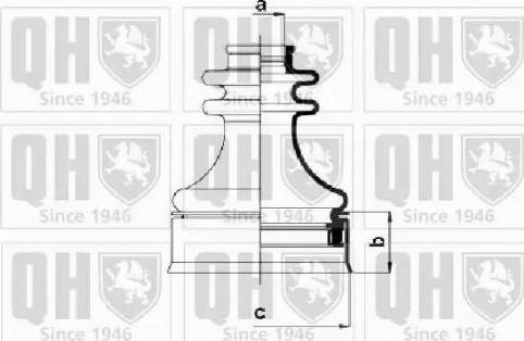 Quinton Hazell QJB568 - Putekļusargs, Piedziņas vārpsta ps1.lv