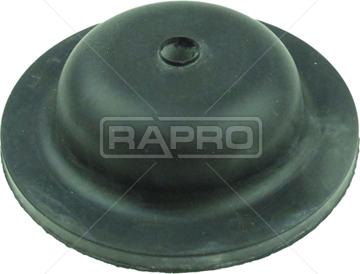 Rapro R51591 - Amortizatora statnes balsts ps1.lv