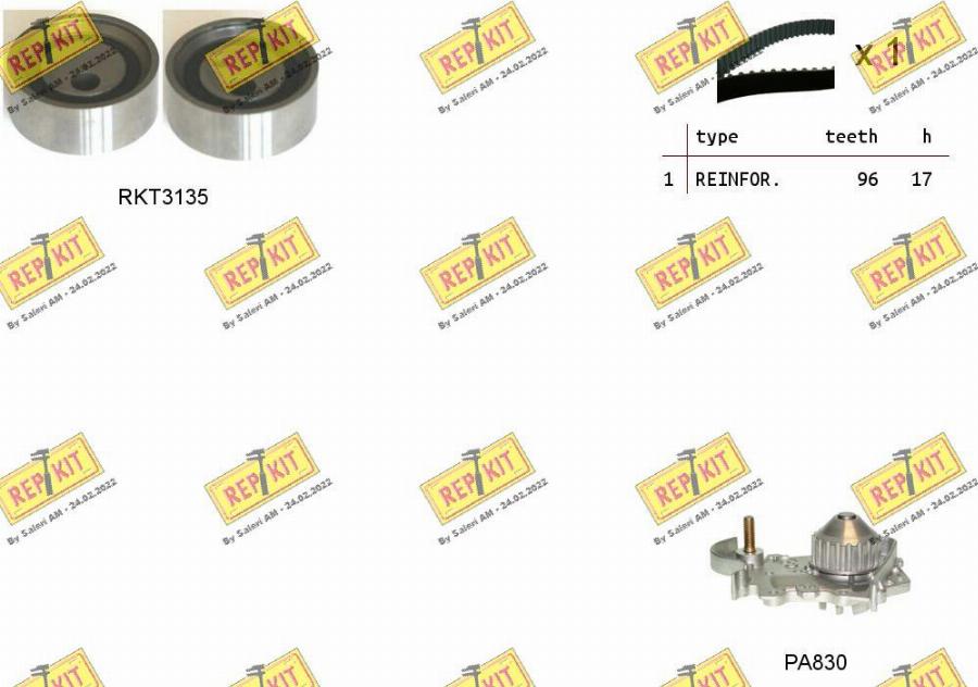 REPKIT RKTK1115PA - Ūdenssūknis + Zobsiksnas komplekts ps1.lv