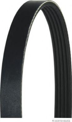 Roulunds Rubber 5K0836 - Ķīļrievu siksna ps1.lv