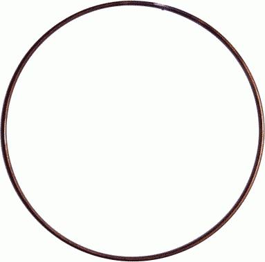 SACHS 3 018 091 000 - Stiepļu gredzens, Sajūga disks ps1.lv