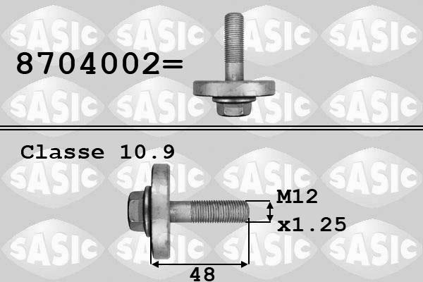 Sasic 8704002 - Piedziņas skriemeļa skrūve ps1.lv